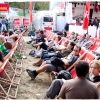 Ambiance et portraits @ Rock en Seine 2009, Domaine National de Saint-Cloud | 28.08.2009